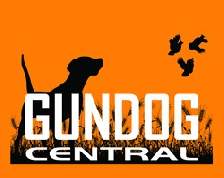 Hounddog Central
